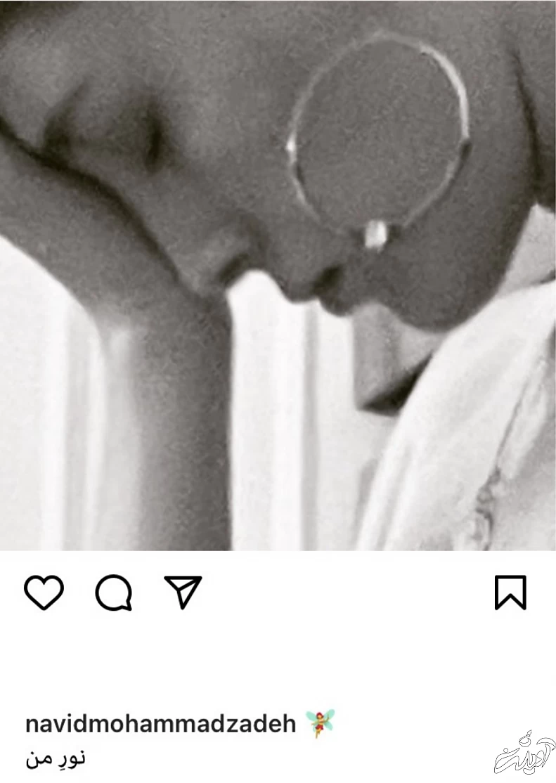 نوید محمدزاده